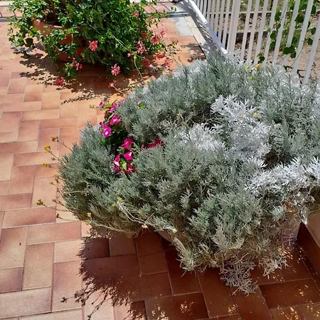 לינה וארוחת בוקר Margareth And Terrace *